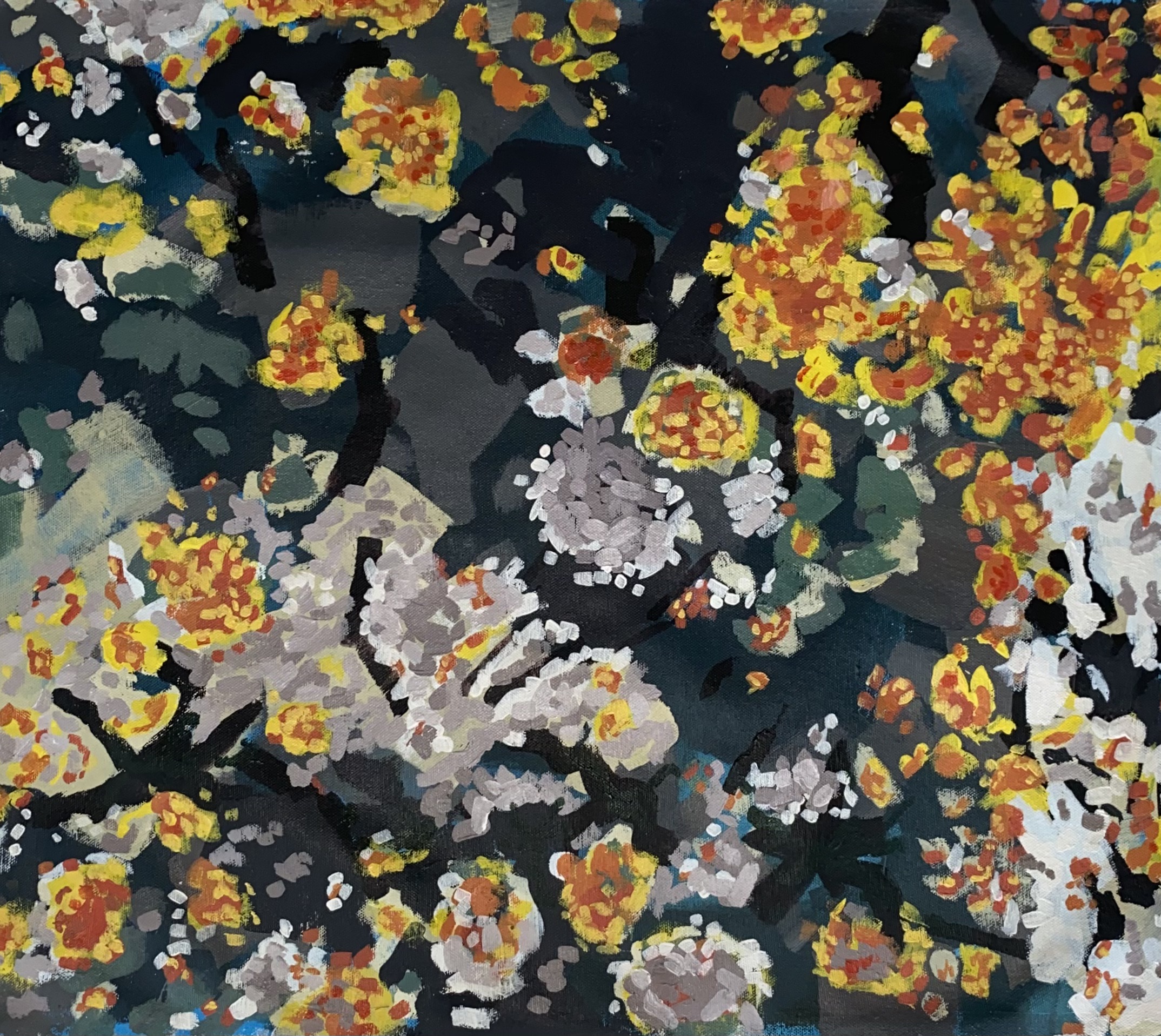 Lichen Paintings